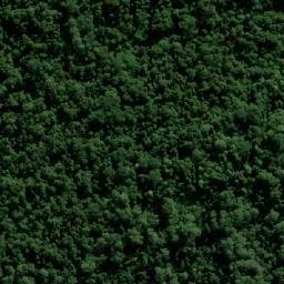 Satellite imagery of Paddys Lookout, AU