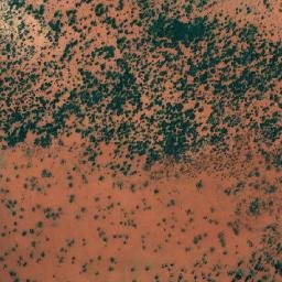 Satellite imagery of Point Kidman, AU