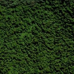 Satellite imagery of Mount Neville, AU
