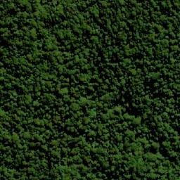 Satellite imagery of Mount Neville, AU