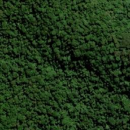 Satellite imagery of Blue Knob, AU