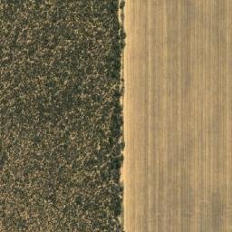 Satellite imagery of Bare Hill, AU