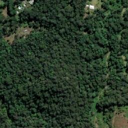 Satellite imagery of Nimbin Rocks, AU