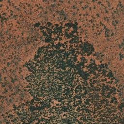 Satellite imagery of Point Moss, AU