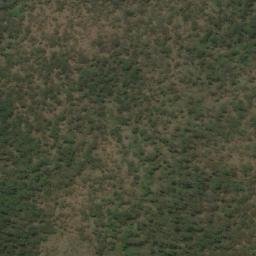 Satellite imagery of Rivertree, AU