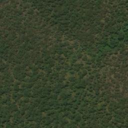 Satellite imagery of Rivertree, AU
