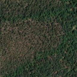 Satellite imagery of Peach Tree, AU