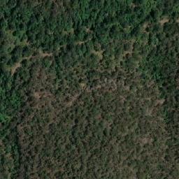 Satellite imagery of Peach Tree, AU