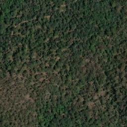Satellite imagery of Peach Tree, AU