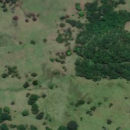 Satellite imagery of Cedar Island, AU