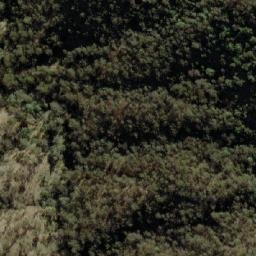 Satellite imagery of Black Mountain, AU