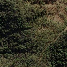 Satellite imagery of Black Mountain, AU