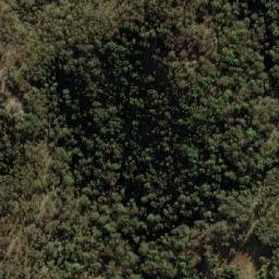 Satellite imagery of Black Mountain, AU