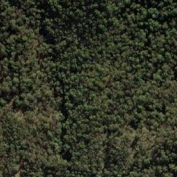 Satellite imagery of Black Mountain, AU