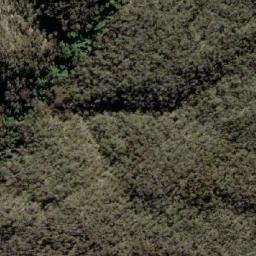 Satellite imagery of Bluff Rock, AU