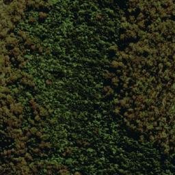 Satellite imagery of Mount Bajimba, AU