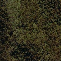 Satellite imagery of Mount Bajimba, AU