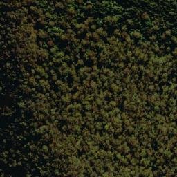Satellite imagery of Mount Bajimba, AU