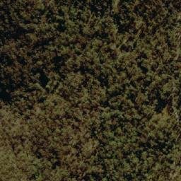 Satellite imagery of Mount Bajimba, AU
