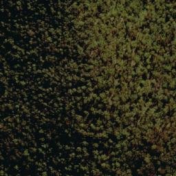 Satellite imagery of Mount Bajimba, AU