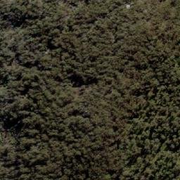 Satellite imagery of Mount Petrie, AU