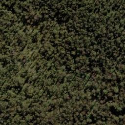 Satellite imagery of Mount Petrie, AU