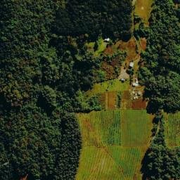 Satellite imagery of Morro Macaco, BR