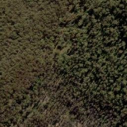 Satellite imagery of Mount Petrie, AU