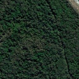 Satellite imagery of Wooded Bluff, AU