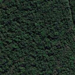 Satellite imagery of Wooded Bluff, AU