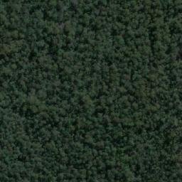 Satellite imagery of Mangrove Hill, AU