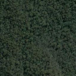 Satellite imagery of Mangrove Hill, AU