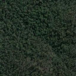 Satellite imagery of Mangrove Hill, AU