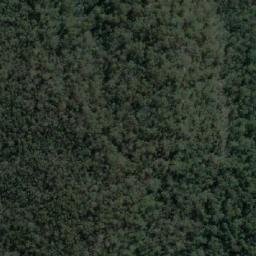 Satellite imagery of Mangrove Hill, AU