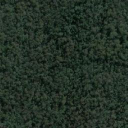 Satellite imagery of Mangrove Hill, AU