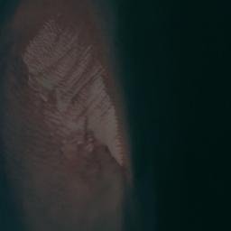 Satellite imagery of Folbigg Point, AU