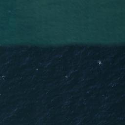 Satellite imagery of Angourie Point, AU