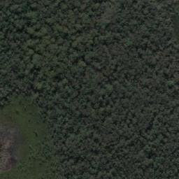 Satellite imagery of Griffiths Point, AU