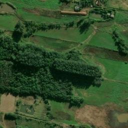 Satellite imagery of Cruzeiro do Sul, BR