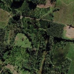 Satellite imagery of Campo do Meio, BR