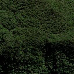 Satellite imagery of survey_point, BR