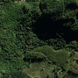 Satellite imagery of Morro dos Rodrigues, BR