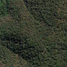 Satellite imagery of Lemon Tree, AU