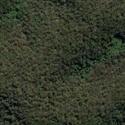 Satellite imagery of Lemon Tree, AU