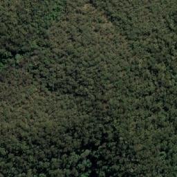 Satellite imagery of Lemon Tree, AU