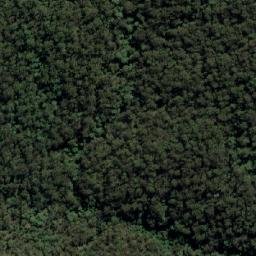 Satellite imagery of Lemon Tree, AU