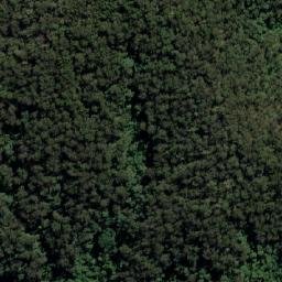 Satellite imagery of Lemon Tree, AU