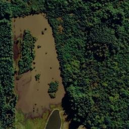 Satellite imagery of Morro Montenegro, BR