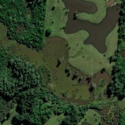 Satellite imagery of Porto da Figueira, BR