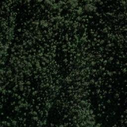 Satellite imagery of Boyd Trig, AU